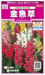 �������Υ��͡�����𡦥��ͥåȥߥå��� ��͹���б���