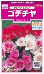 Υ͡ǥ㡦塼 ߥå ͹б