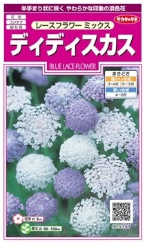 �������Υ��͡��ǥ��ǥ����������졼���ե� �ߥå��� ��͹���б���