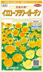 Υ͡եǥ󡦲ֳζ ͹б