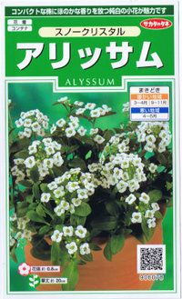 �������Υ��͡�����å��ࡦ���Ρ����ꥹ���� ��͹���б���