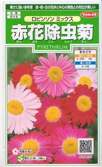 �������Υ��͡��ֲֽ���ơ����ӥ󥽥�ߥå��� ��͹���б���