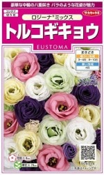 Υ͡ȥ륳祦ʡߥå ͹б