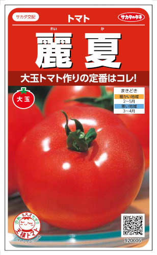 トマト サカタのタネ トマト 麗夏 約21粒 【郵送対応】 | 【メーカー名から