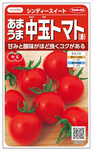 サカタのタネ あまうま中玉トマト シンディースイート 約21粒 【郵送