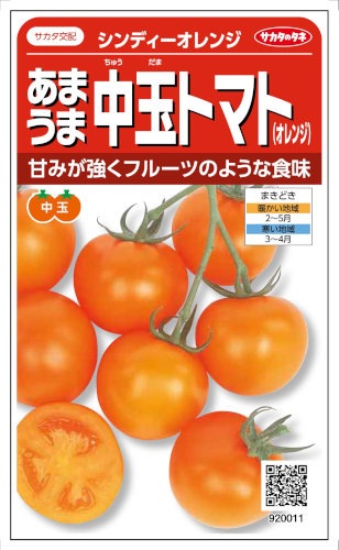 サカタのタネ あまうま中玉トマト シンディー オレンジ 約13粒 【郵送