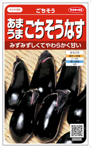 サカタのタネ ナス あまうまごちそうなす ごちそう 0.6ml【郵送対応
