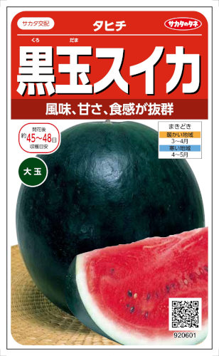 �������Υ��� �������� ���ҥ� ��13γ��͹���б���