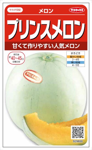 サカタのタネ メロン プリンスメロン 約9粒 | 【メーカー名からタネを