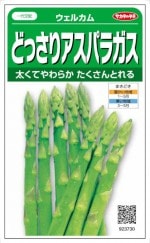 �������Υ��� �ɤä��ꥢ���ѥ饬�� �����륫�ࡡ��0.9�����͹���б��ۡ��ʼ�̾��Atticus_��Ͽ�ֹ桧��27869���