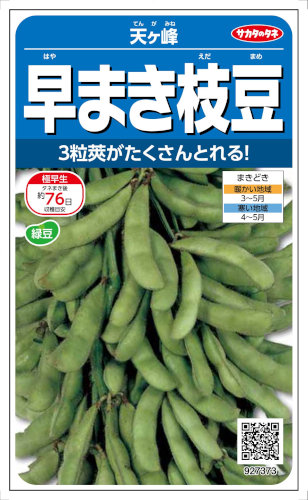 えだまめ サカタのタネ（サカタノタネ） 枝豆 天ヶ峰 1L （株）サカタのタネ