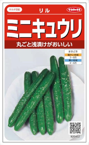 まがったキュウリ サカタのタネ ミニキュウリ リル 約18粒【郵送対応】【品種名：リル