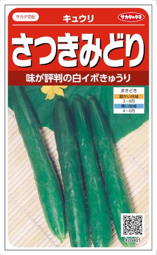 サカタのタネ キュウリ さつきみどり 1.2ml【郵送対応】 | 【メーカー
