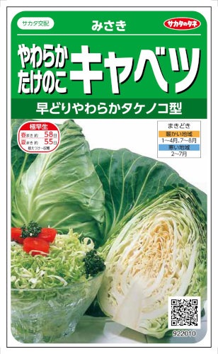 緑単キャベツ 調整パーツ付き】緑単キャベッジ 緑単キャベツ 調整パーツ付き】緑単