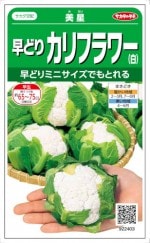 �������Υ��� ��ɤ�ߥ˥���ե� ���� 0.8ml��͹���б���