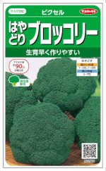 Υ ֥å꡼ ԥ̎ގێ؎ 100γ͹б