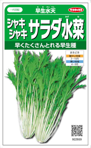 サカタのタネ シャキシャキサラダ水菜 早生水天 6ml 【郵送対応