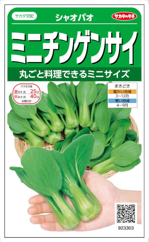 �������Υ��� �ߥ˥��󥲥󥵥� ���㥪�ѥ� 3ml����͹���б���