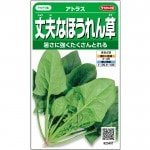 Υ ۥ󥽥 פʤۤ󤽤 ȥ饹 25ml͹б