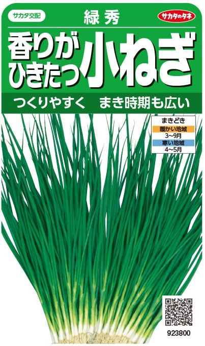 サカタのタネ ネギ 香りがひきたつ小ねぎ 緑秀 15ml 【郵送対応】