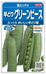 Υ ɥ ɤꥰ꡼ԡ 20ml͹б