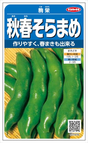 サカタのタネ ソラマメ 秋春そらまめ 駒栄 28ml【郵送対応】【品種名