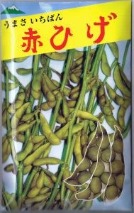 佐藤政行種苗 えだまめ 秘伝（商標登録 第5200385）