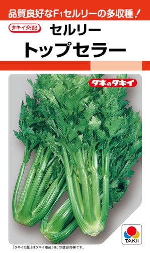 野菜のタネ タネいも 葉 茎 花を食べる野菜のタネ 日光種苗オンラインショップ 本店