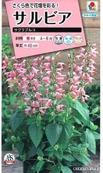���������ġ�����ӥ���������ץ륳 0.1ml ��͹���б��ۡ��ʼ�̾��TL589_��Ͽ�ֹ桧��24474���
