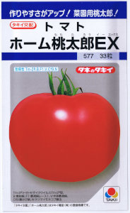 ۡȥޥȡۡϺţ 29γ ͹б