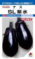 ���������� �ʥ� SL��� ��35γ ��͹���б��ۡ��ʼ�̾��TNA029_��Ͽ�ֹ桧��21285���