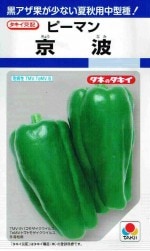 ���������ۡ��ԡ��ޥ󡡵��� ��45γ ��͹���б���