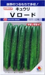 ���������ġ����奦�ꡡ�֥����� ��10γ ��͹���б���