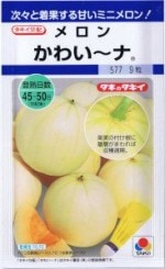 ۡ󡡤襤ʡ8γ ͹б