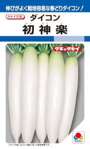 ���������ġ��������󡡽���ڡ�3.5ml ��͹���б���