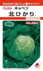 ���������ġ�����٥ġ��̤Ҥ��ꡡ0.9ml ��͹���б���