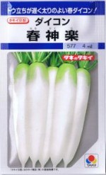 ���������ġ��������󡡽տ��� 3.5ml ��͹���б���