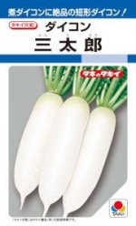 ���������ġ��������󡡻���Ϻ��7ml ��͹���б���