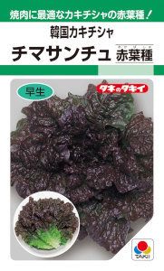 ���������ġ��ڹ񥫥������㡡���ޥ����������ռ�ˡ�0.9ml ��͹���б���