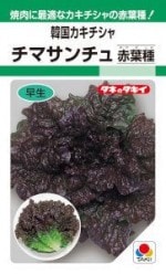 ���������ġ��ڹ񥫥������㡡���ޥ����������ռ�ˡ�0.9ml ��͹���б���