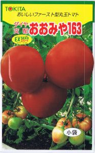 �ȥ������ġ���̥ȥޥȡ������ߤ�163 [�����̡���30γ]