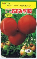 ȥġ̥ȥޥȡߤ163 [̡30γ]