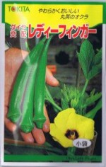 ȥġۡ顡ǥե󥬡 [̡10ml]