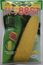 ȥġȤߥ륭88ST [̡200γ]