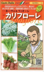 �ȥ������� �����ȥ����ꥢ ����ե�������ե����졡[�����̡���50γ]