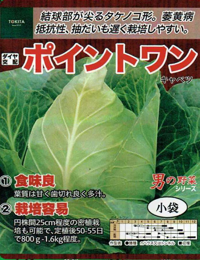 トキタ種苗 キャベツ ポイントワン [内容量：1ml] | 【メーカー名から