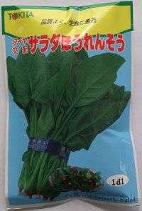 �ȥ������ġ���������ۡ�������ۤ���󤽤� [�����̡�1dl]