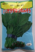 ȥġۡۤ󤽤 [̡1dl]