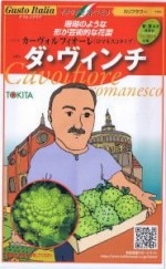 �ȥ������ġ������ȥ����ꥢ������������� (����ե�) [�����̡���50γ]