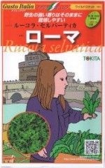 �ȥ������ġ������ȥ����ꥢ�������� (�磻��ɥ����å�) [�����̡���500γ]